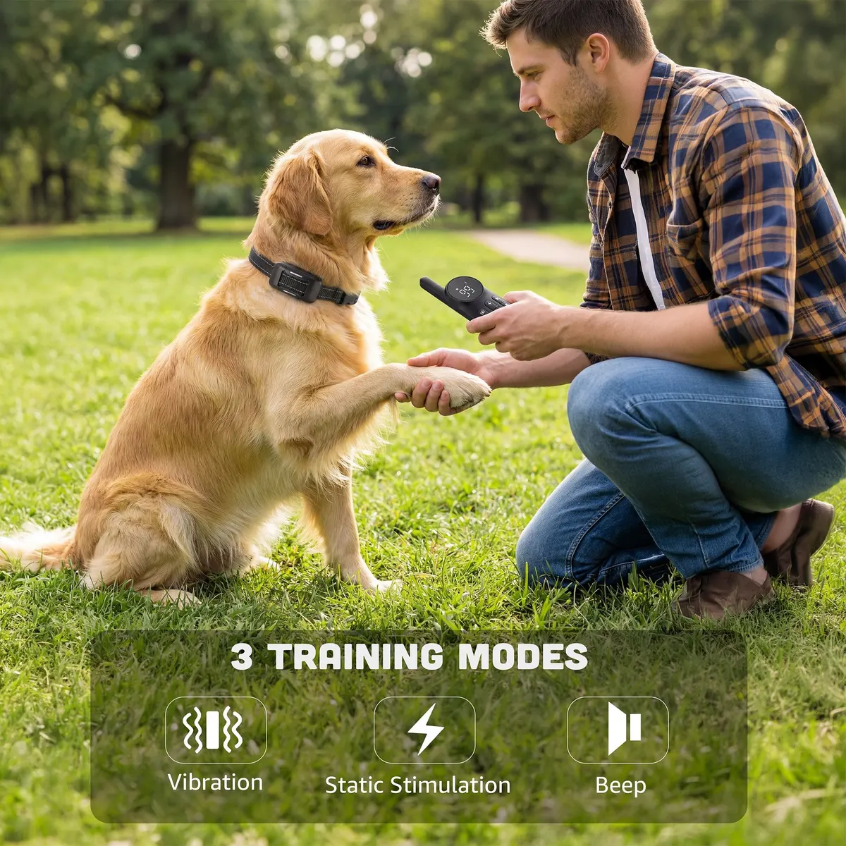 Golden retriever offering a paw while wearing the PawPulse collar, with beep, vibration and static modes shown